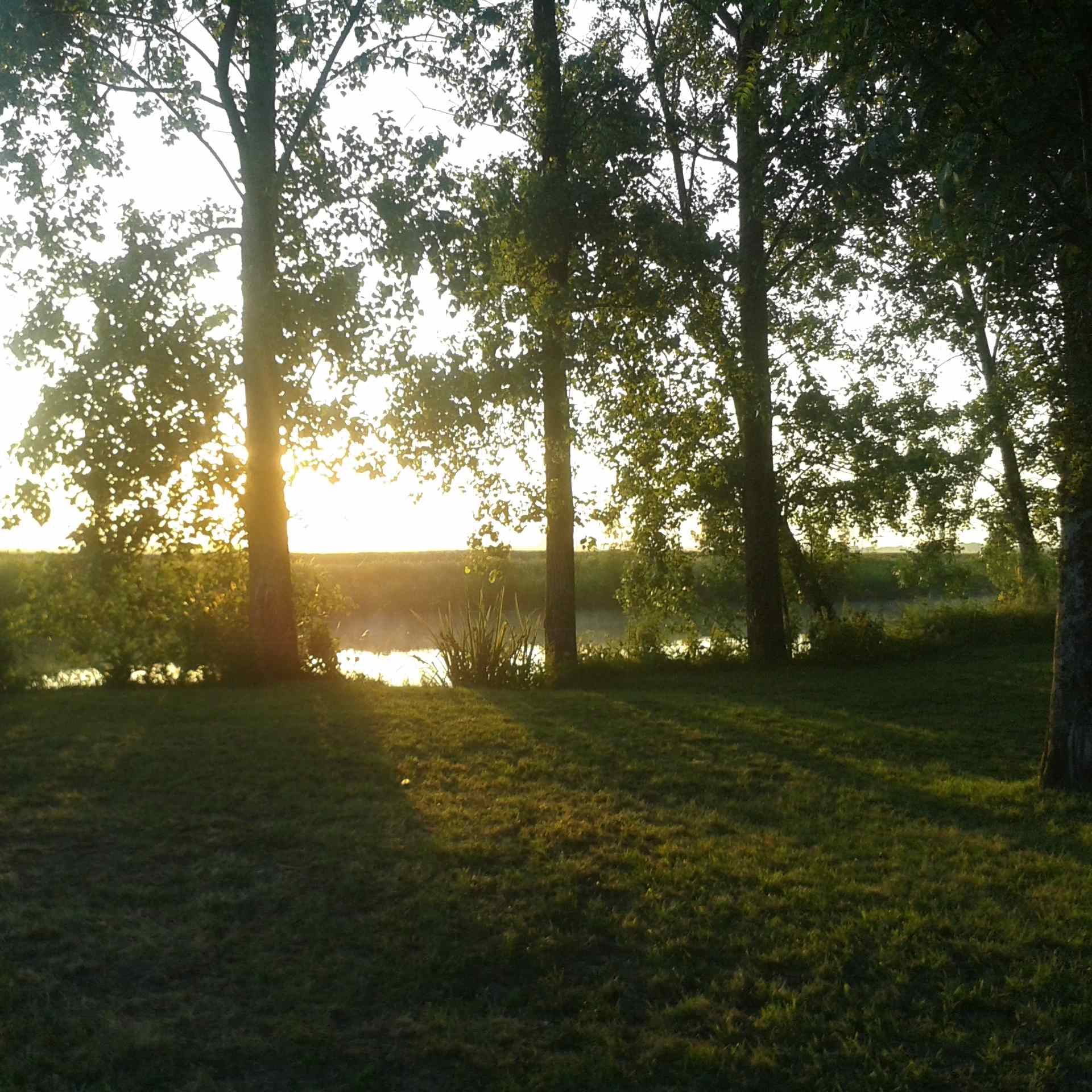 Photo de Philippe AVRILLEAU